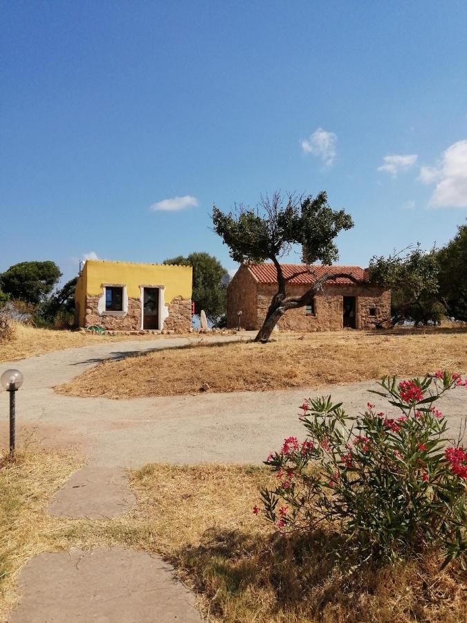 Gli Asfodeli Aglientu Exterior photo